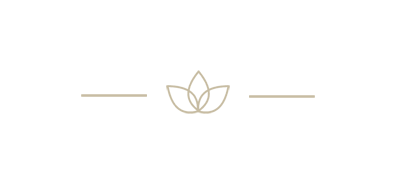 MAX LUX INC